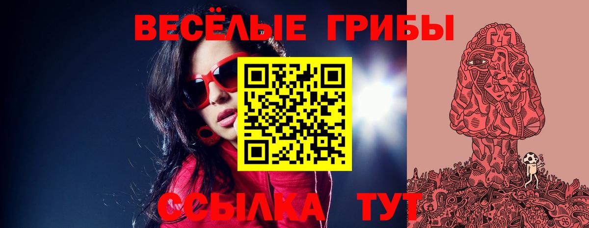 Псилоцибиновые грибы Psilocybe  Псилоцибиновые грибы Psilocybine cubensis  Алейск  Вход с VPN 